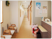 �ؤ���ʥ���˥å����Хꥢ�ե꡼