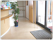 �ؤ���ʥ���˥å����Хꥢ�ե꡼