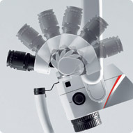 ���ȥ쥹�ե꡼��180�١���ư������