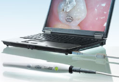 �����⥫���