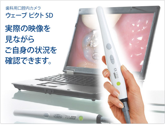 �ºݤα����򸫤ʤ��顢�����Ȥξ����򤴳�ǧ